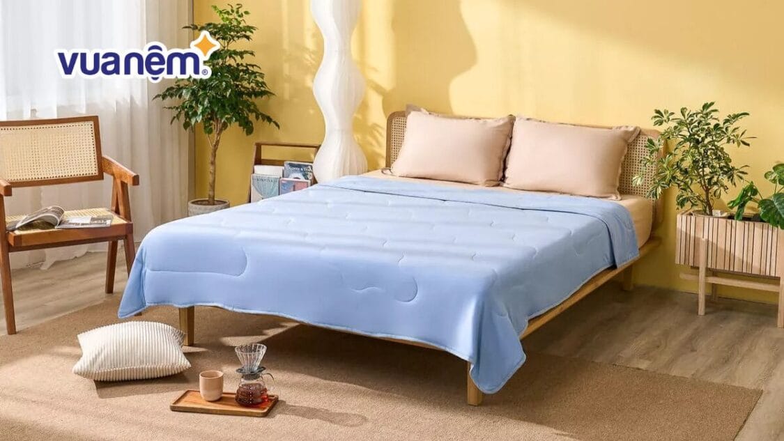 ga giường 1m5x1m9