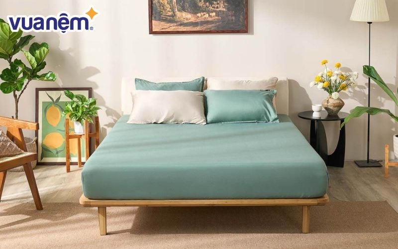 Mẫu ga chun micro satin Amando Cozy