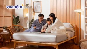 Ga tencel là gì? 10+ mẫu ga tencel đẹp, đáng mua năm 2025