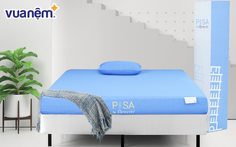 nệm Foam Amando Pisa