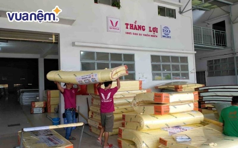 Tổng kho nệm Thắng Lợi - Mua đệm cao su giá rẻ Hà Nội