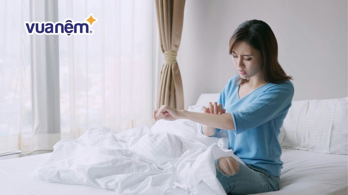 nằm nệm bị ngứa