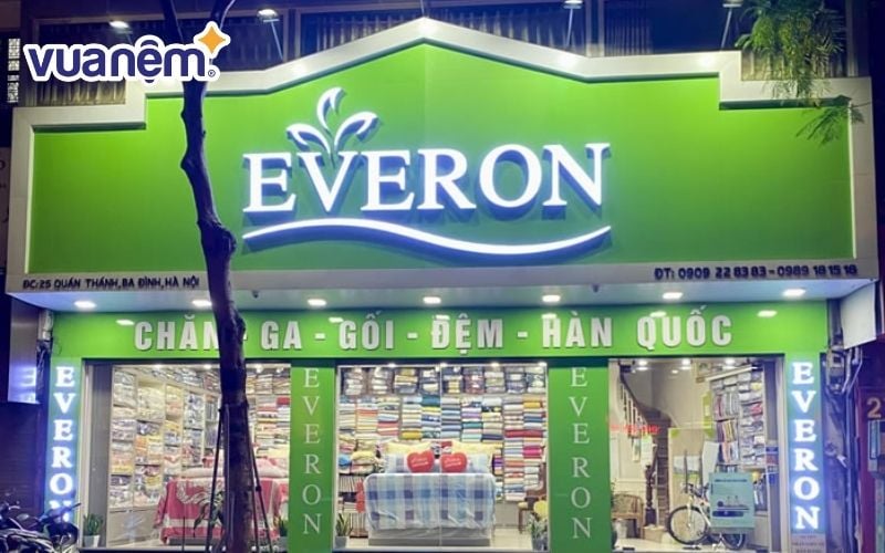 Everon - Mua nệm bông ép Hà Nội chất lượng