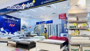 Địa chỉ mua nệm bông ép uy tín, giá tốt tại Hải Phòng
