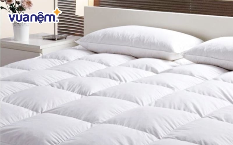 Lemon Tree Bedding là đại lý chăn ga gối nệm được ưa thích tại Nha Trang