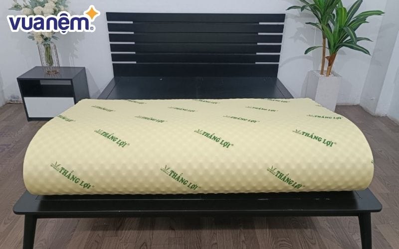 Nệm cao su non 30cm Thắng Lợi