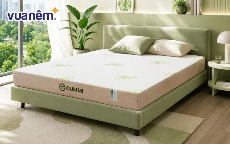 Nệm cao su Gummi Hybrid