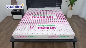 Nệm cao su Wonder Foam Thắng Lợi: Bảng giá & Ưu đãi 2025