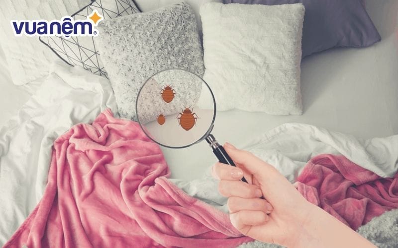 Nệm được làm từ bông tái chế thường hay ẩn chứa nhiều vi khuẩn có hại