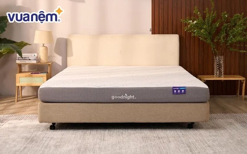 Nệm foam Goodnight Massage 2.0 (Hachi)
