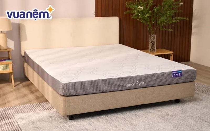Nệm foam Goodnight Massage 2.0 (Hachi)