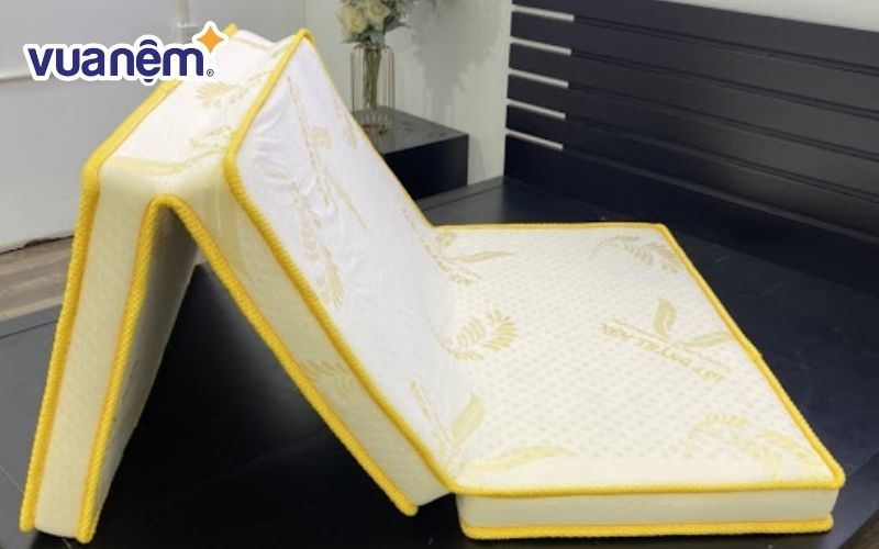 Nệm Foam Gold Latex