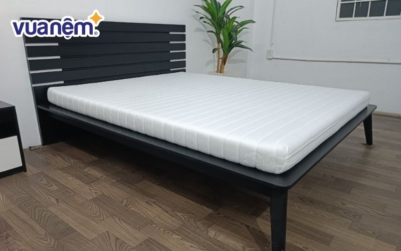 Nệm foam cao cấp Thắng Lợi