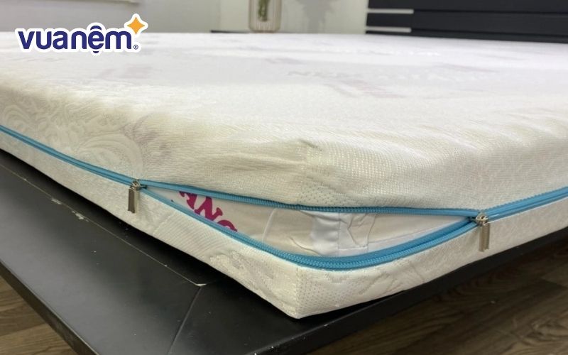 Nệm foam Massage Thắng Lợi