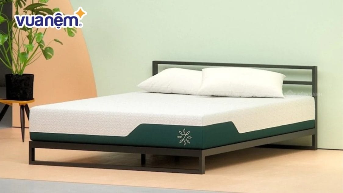 Nệm foam trà xanh là gì? Cách nhận biết sản phẩm nệm chất lượng