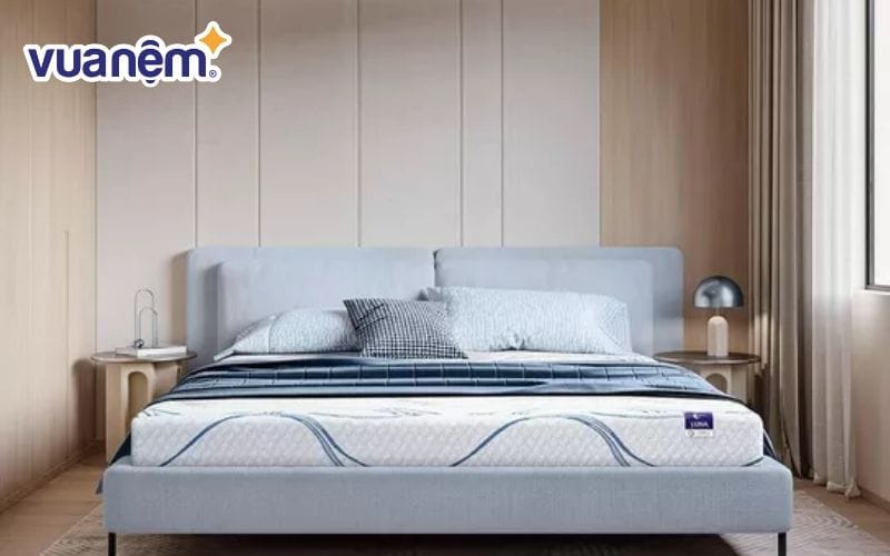 Nệm foam Goodnight Luna 3zones massage kháng khuẩn