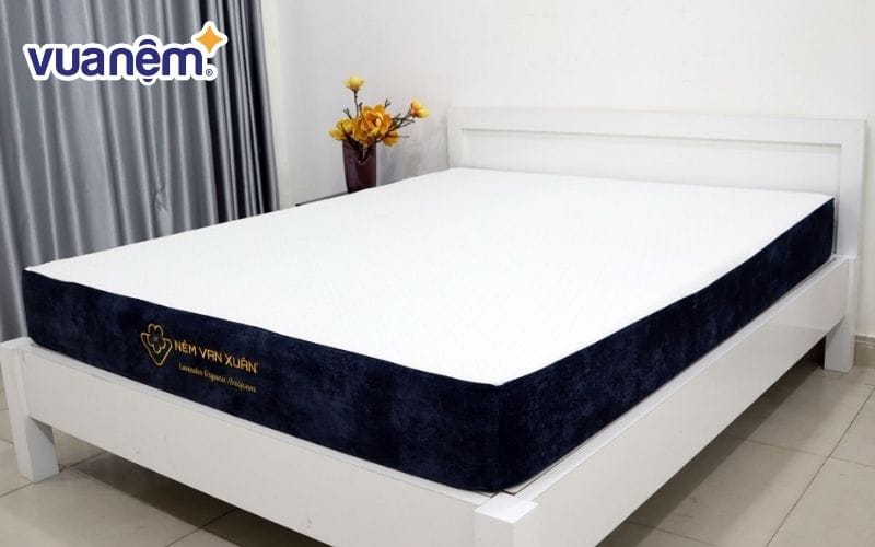 Nệm foam Lavender Organic Aerofoam