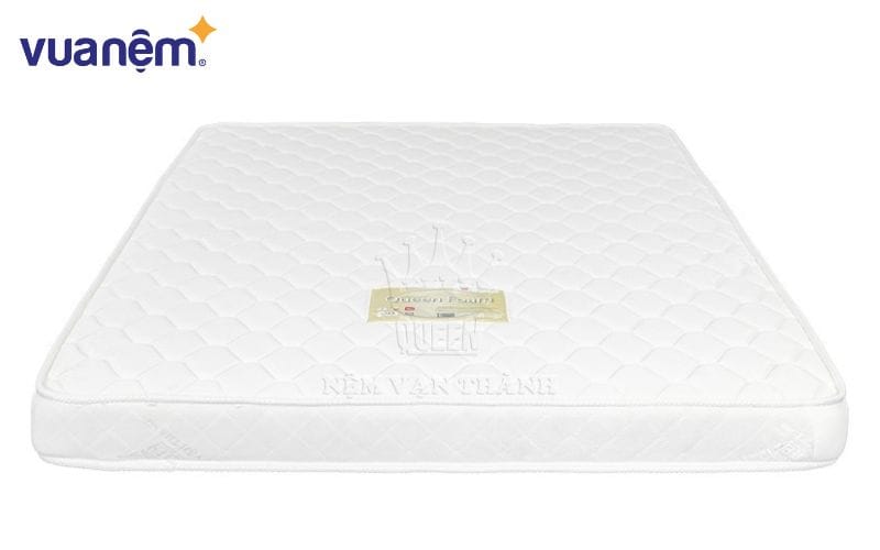 Nệm foam Vạn Thành 10N