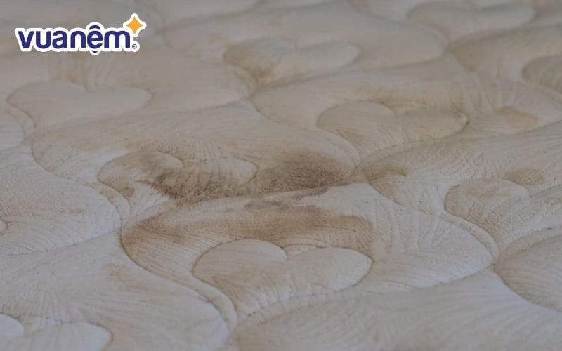Nệm lâu ngày tích tụ bụi bẩn có thể gây kích ứng da