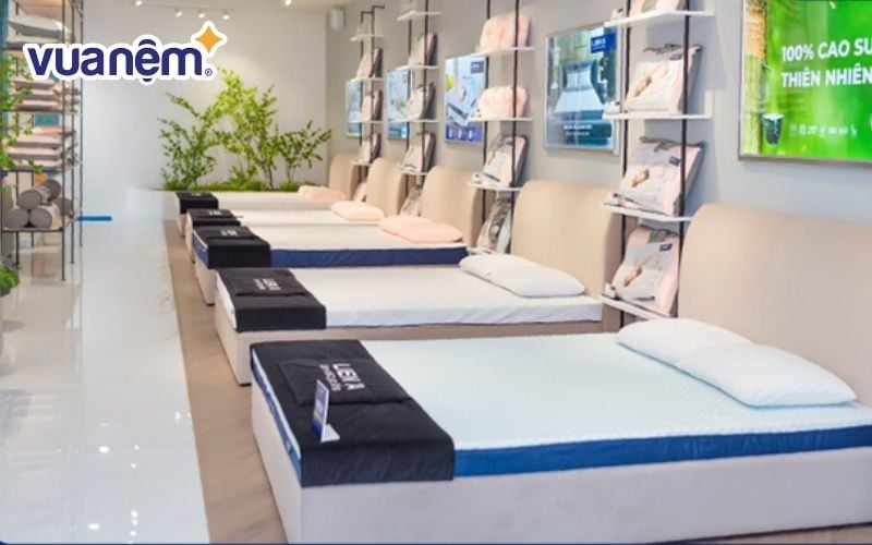 Mua nệm lò xo giá tốt tại showroom Liên Á