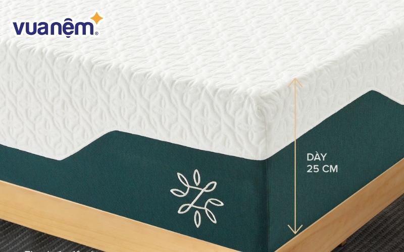 Nệm Zinus Memory Foam 10in Cooling Gel có tinh chất trà xanh cao cấp