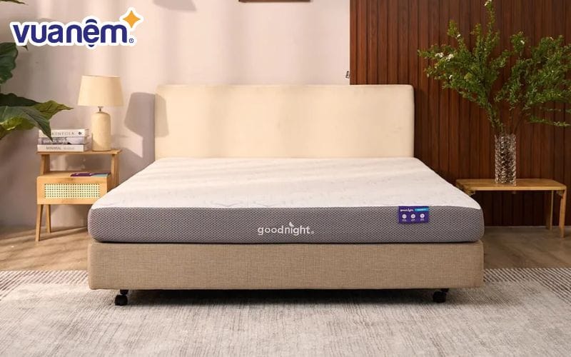 Phơi nệm foam dưới nắng nhẹ để giữ được độ cứng cáp