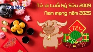 Chi tiết về tử vi tuổi Kỷ Sửu 2009 – Nam mạng năm 2025