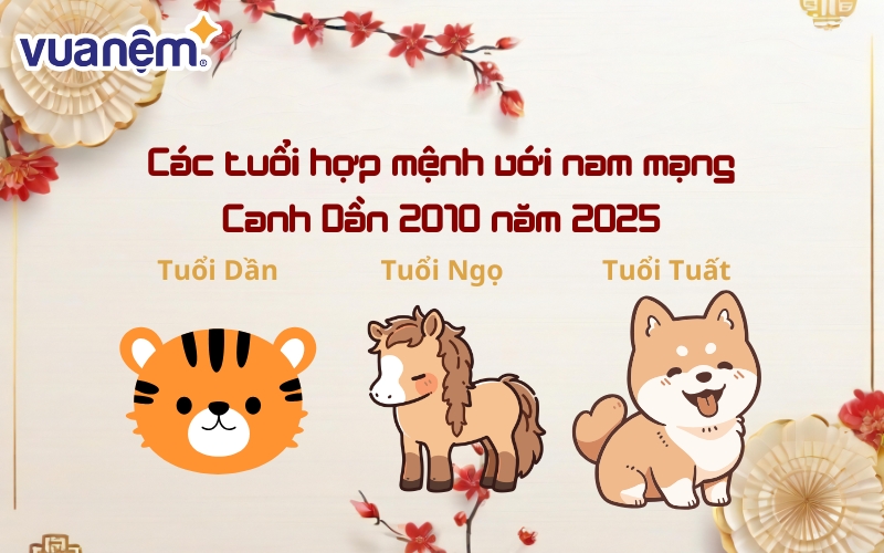 Nam mạng Canh Dần 2010 cần tìm hiểu và kết nối với các tuổi hợp mệnh để tăng cường sự thuận lợi trong học tập, mối quan hệ và cuộc sống. 