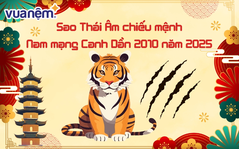 Năm 2025, nam mạng Canh Dần được sao Thái Âm chiếu mệnh.