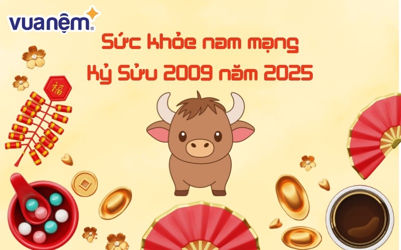 Sức khỏe của nam mạng Kỷ Sửu 2009 năm 2025 khá ổn định.