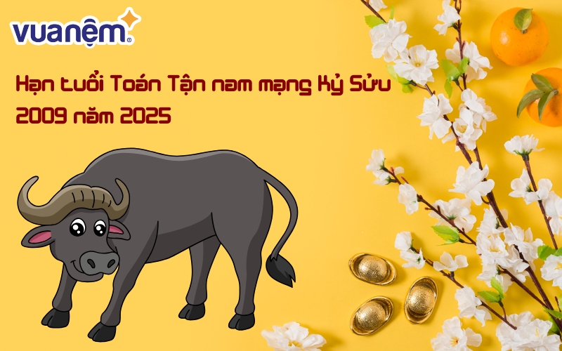 Nam mạng Kỷ Sửu 2009 gặp hạn Toán Tận, hạn nhẹ nhưng cần chú ý trong việc quản lý tiền bạc và đi lại.