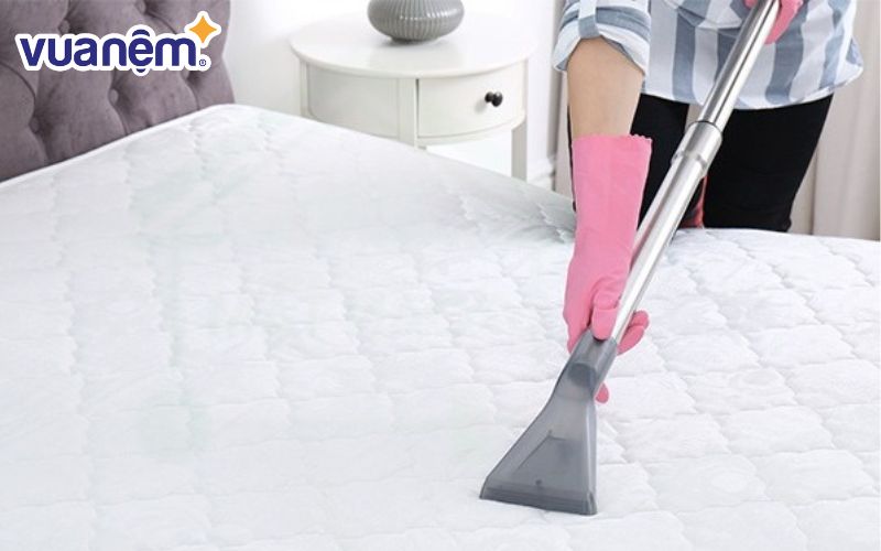 Hãy dùng máy hút bụi có gắn cọ lớn và vòi hút dài để hút sạch bụi bẩn bên trong nệm
