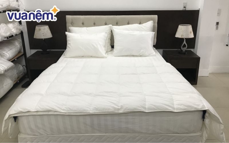 Vỏ chăn Danco khách sạn sọc 3cm cotton T250