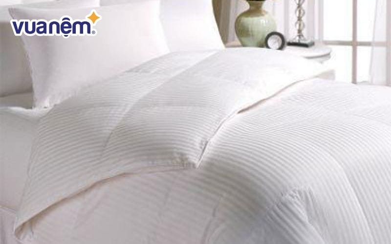 Vỏ chăn khách sạn sọc 3cm cotton T300 Danco