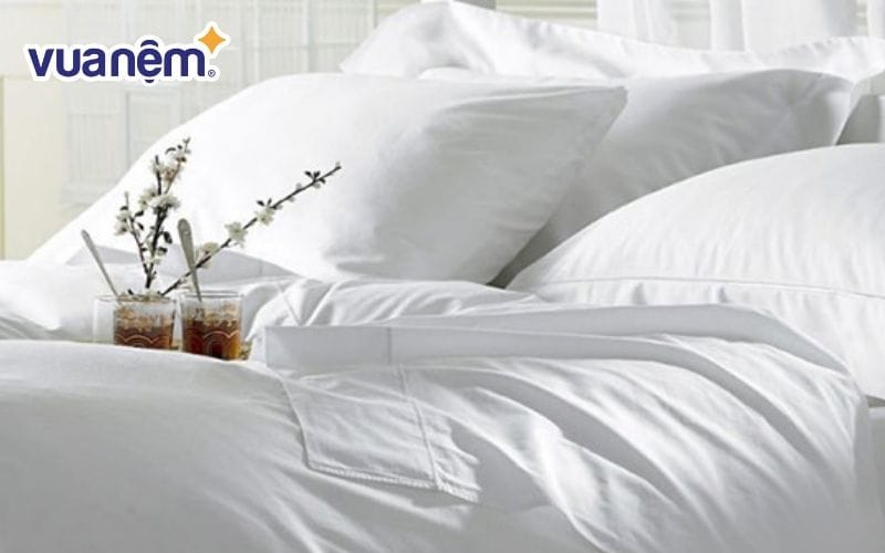 Vỏ chăn Danco trắng trơn T200 cho khách sạn