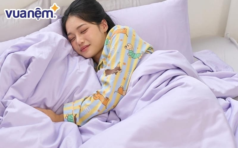 Vỏ chăn lụa chần bông Airsilk