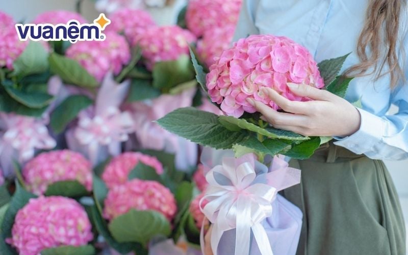 Hoa cẩm tú cầu trong tình yêu là loài hoa minh chứng cho sự thủy chung