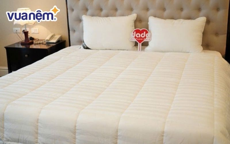 Chăn President 2m2x2m4 lông vũ tự nhiên DADA