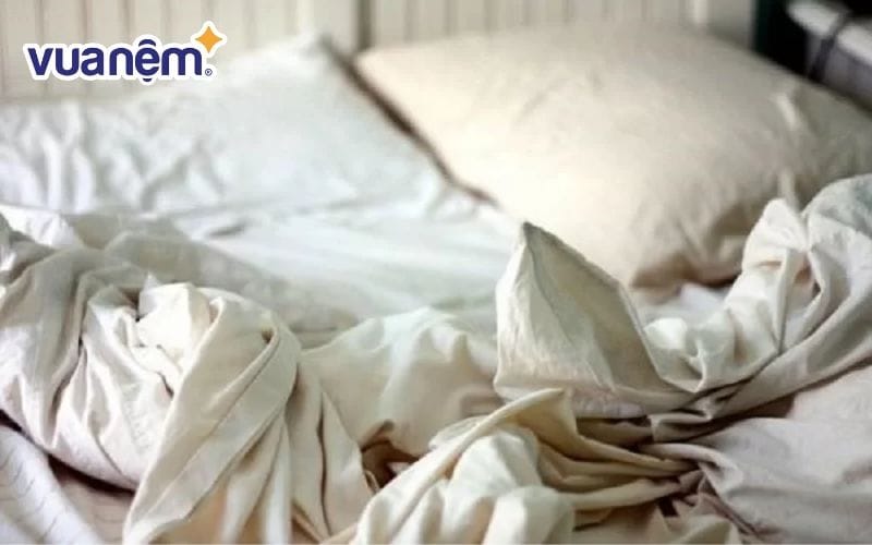 Chăn giá rẻ thường kém chất lượng và tuổi thọ ngắn