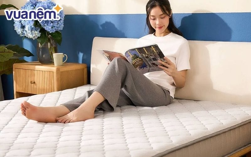 Chất liệu là yếu tố quan trọng quyết định độ bền, độ êm ái và khả năng nâng đỡ của nệm