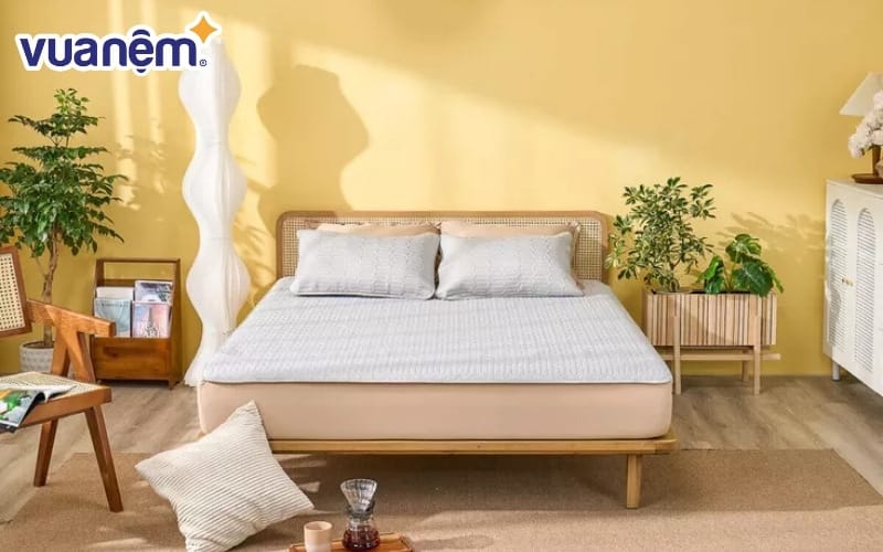 Chiếu điều hòa nệm cao su non là gì?