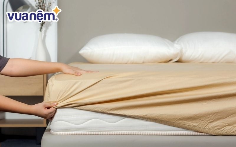 Cotton là loại vải phổ biến để làm chăn ga gối nệm