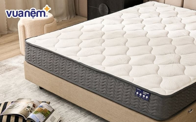 Giá thành nệm 1m7 chi phối bởi chất liệu nệm