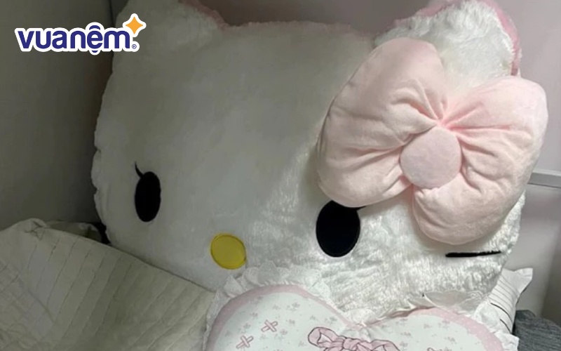 Sản phẩm không chỉ là vật dụng để tựa lưng hay ôm khi ngủ mà còn là món đồ trang trí xinh xắn