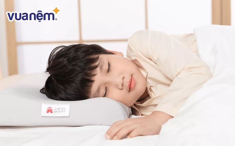 Bộ gối mát lạnh Aeroflow Hachiko Junior 2C