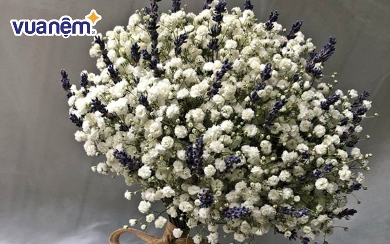 Hoa baby trắng điểm xuyết hoa lavender dành cho cô dâu