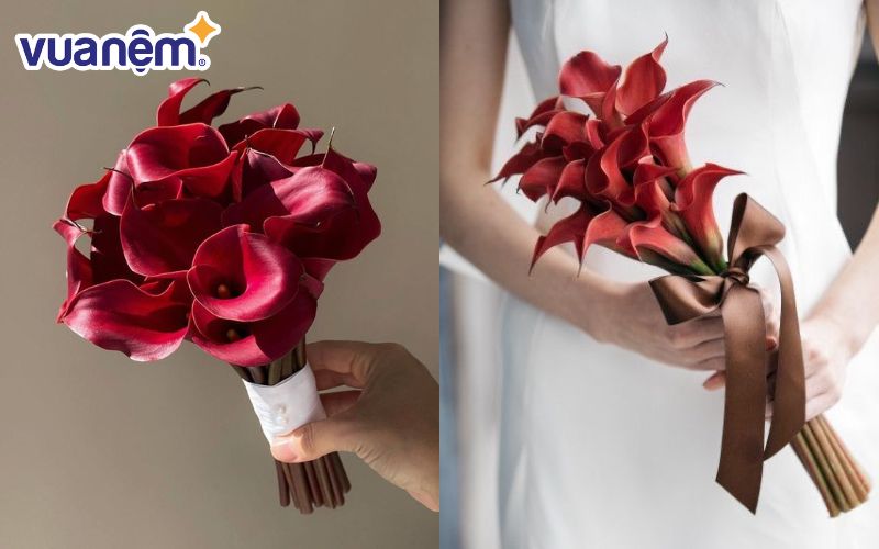 Vẻ đẹp cá tính của bó hoa Calla Lily đỏ