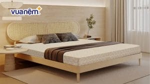 Bảng giá nệm 1m7 chính hãng, giá tốt cập nhật mới năm 2026