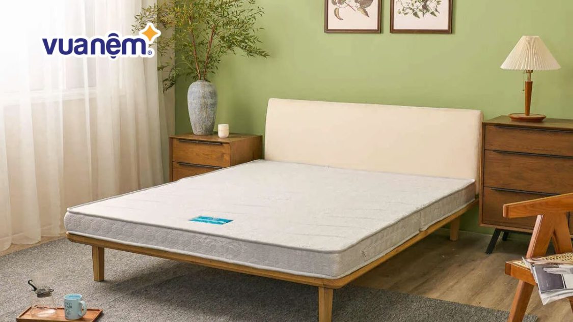 Mua nệm 90x180 ở đâu? Địa chỉ mua nệm chính hãng, giá tốt