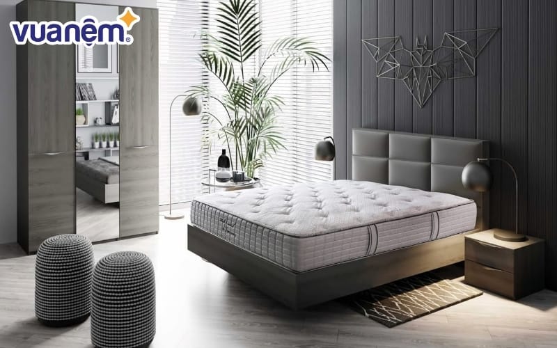 Đệm bông ép Sông Hồng Back Essential 1m2 x 1m9